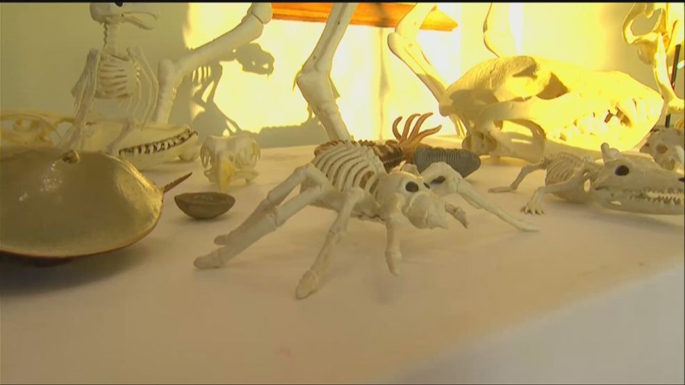 Halloween at the Castle offered day of spooky science Saturday — Fox 11 Green Bay Local