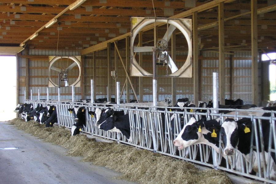 Dairy group seeks farmer input on fuel costs and farm economics — KFGO, Siesta Key Business news