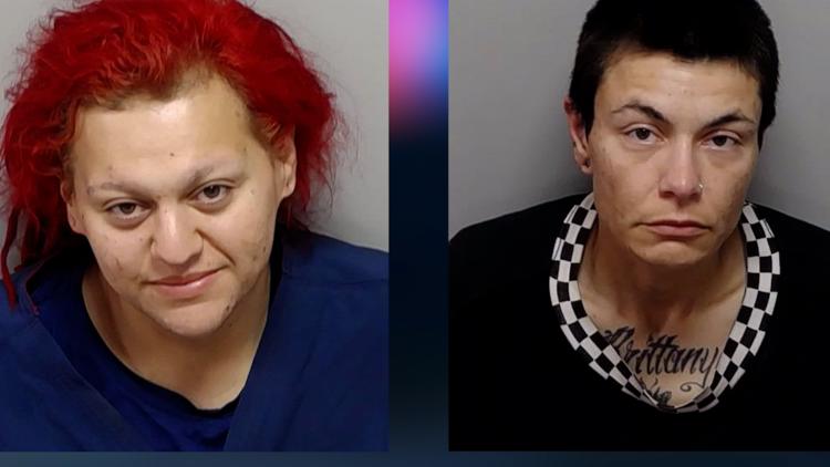 Dogs left to die while owners were passed out and intoxicated in nearby truck, San Antonio police say — KENS 5 (San Antonio), Siesta Key Community news