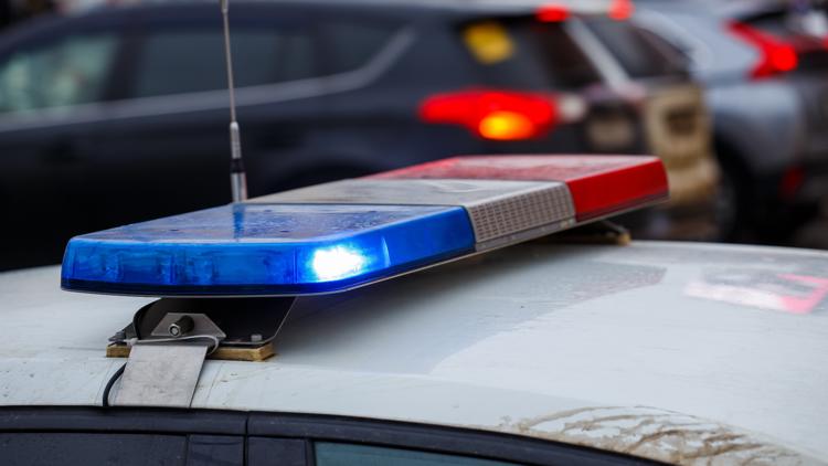 Dayton ISD bus driver arrested after student seriously injured in suspected hit-and-run, police say — KHOU 11 (Houston), Siesta Key Schools news