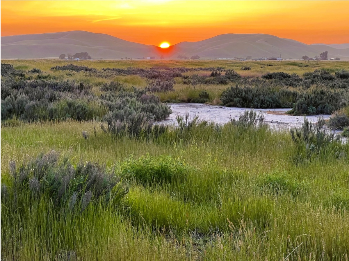 331 Acres Of Tri-Valley Wildlife Habitat, Open Space Permanently Protected — Danville Patch, Siesta Key Community news