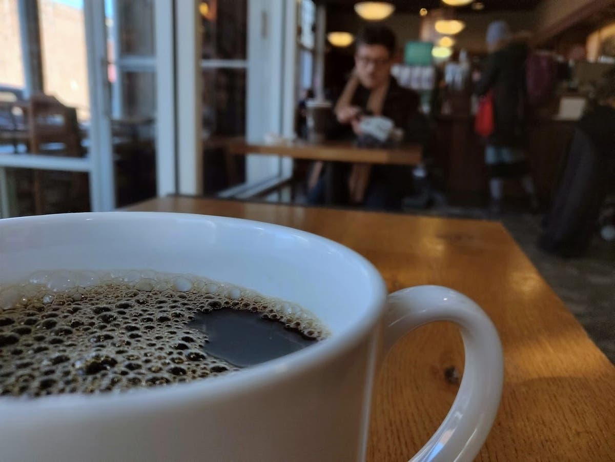 Tampa Coffee Company Opens New Cafes Through Sprouts Partnership — Sarasota Patch