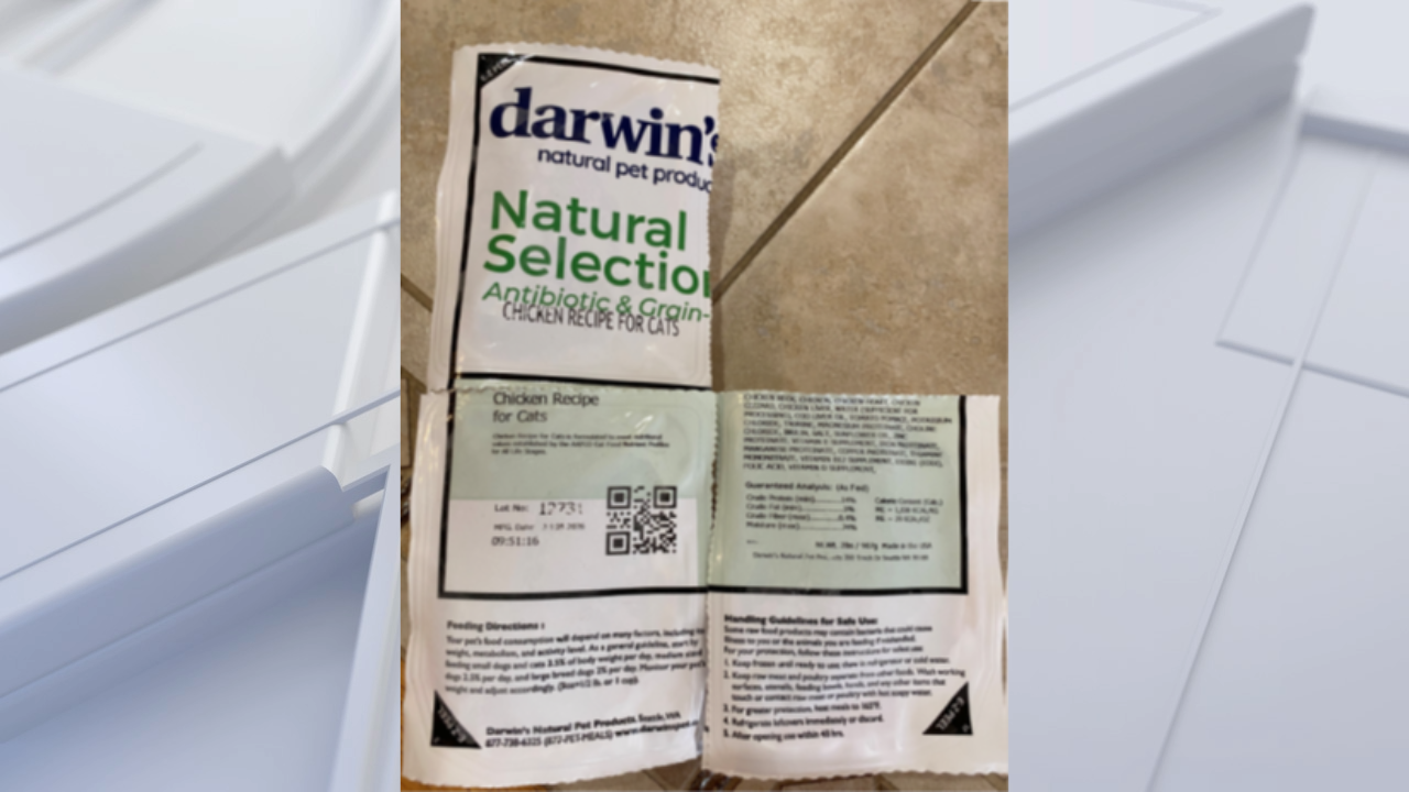 FDA warns pet owners after salmonella found in frozen cat food — Siesta Key Community news