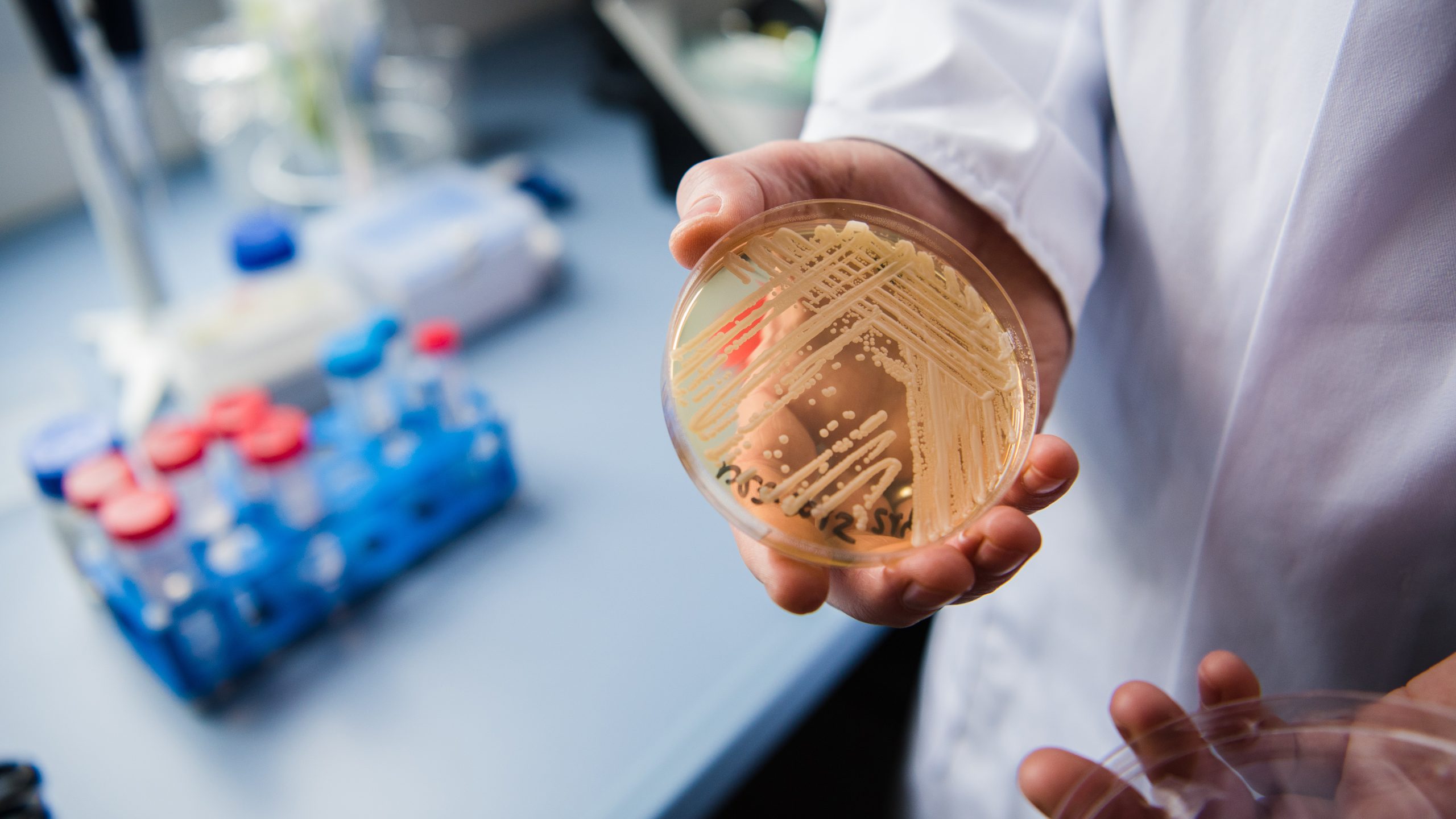 New study reveals why dangerous fungus is so difficult to treat — FOX 13 Tampa Bay News