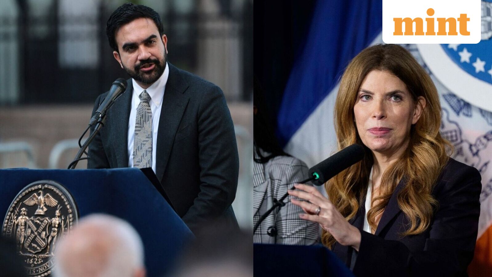 New York City's historic horse carriage rides to come to an end soon? All about Mayor Zohran Mamdani's latest move — Mint India, Siesta Key Government news